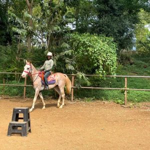 30 MIN BASIC RIDING LESSON + 60 MIN RIDE
