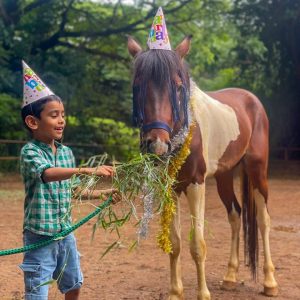 Pony rides for 2 hours