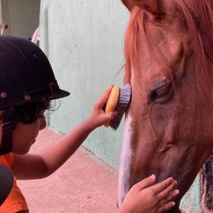 45 MIN GROOMING & STABLE MANAGEMENT